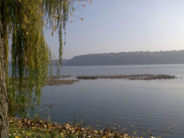 Piękne Jezioro w Skępe