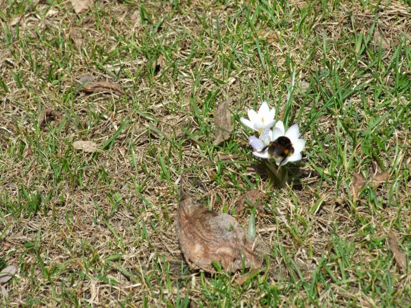 Wiosna nad jeziorem w Szczekarzewie