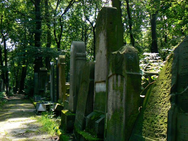 Remuh cmentarz żydowski.