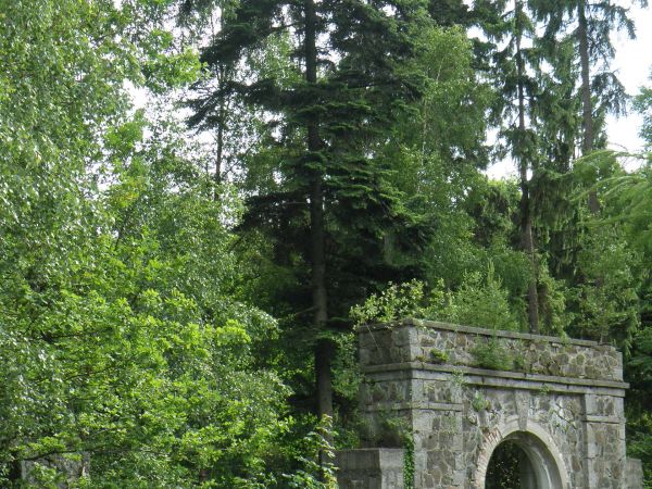 Brama do nieistniejącego już dzisiaj pięknego parku"Wenecja" - za nim rezerwat florystyczny "Łąka Sulistrowicka"