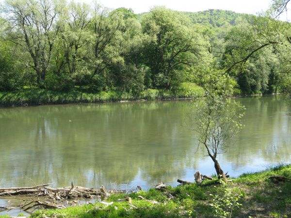 na wzniesieniach: "Las Selpy" a za Sanem już co najmniej od 1904r.  działał kamieniołom, za okupacji niemieckiej getto żydowskie było - obóz pracy firmy "Kircho