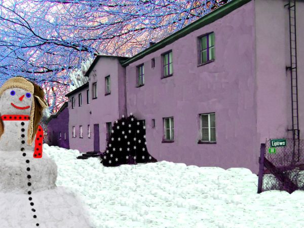 Zima 2012 w Bytyniu.