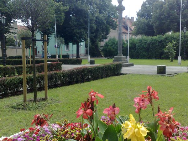 Plac Wolności  z pomnikiem T. Kościuszki.