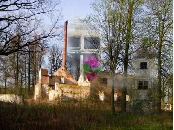 fantazja  a reszta nic warta skoro tyle cwaniaków znajomych obojętnych leniwych i złodziei