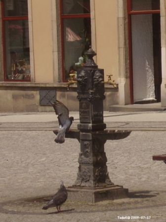 ... skwarny dzisiejszy dzień kończę migawką z Rynku.