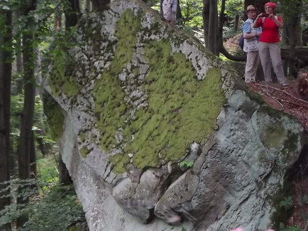 w zalesionym Masywie Kamienia - na jego skłonie spotyka się skały podobne do grzyba, muszli, czaszki a nawet wielki kamień z naturalnymi oknami i mur zbudowany