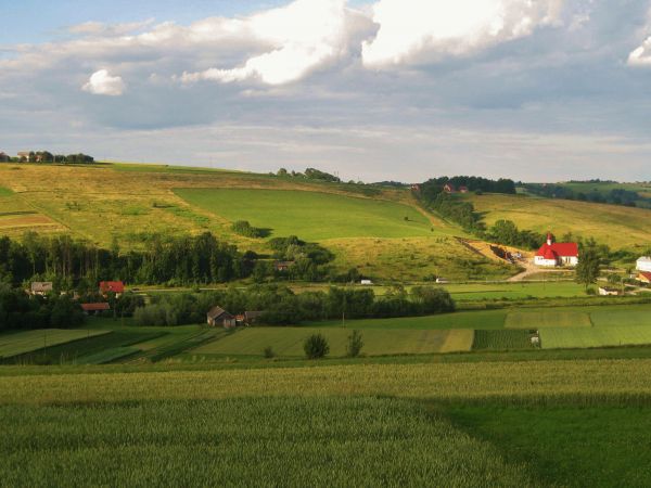 Wojnarowa to miejscowosc lezàca wzdluz potoku Wojnaròwka,czerpiàcego swe zròdla z miejscowosci Jasienna,Lyczana