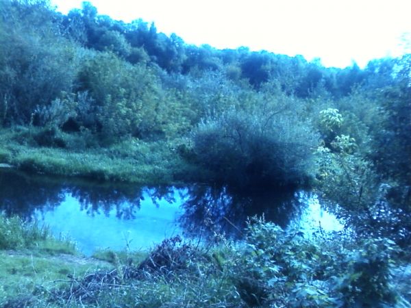 Zieleń między Włodawką, a Bugiem od ulicy Podzamcze