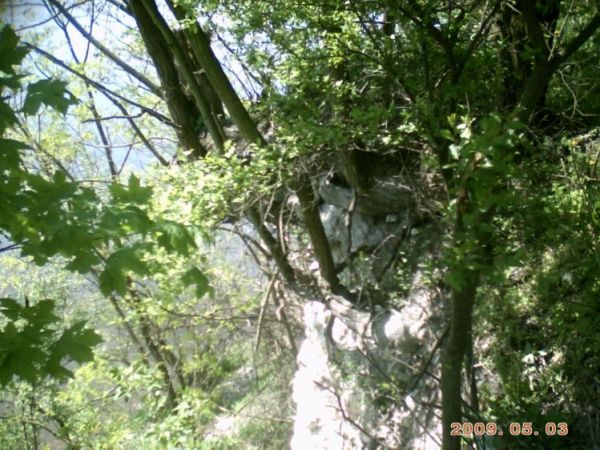 zdjecie Stare Kaliszany