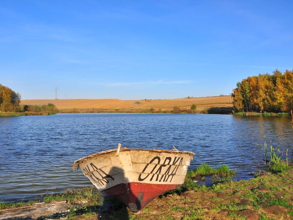 zdjecie Wodzisław Śląski