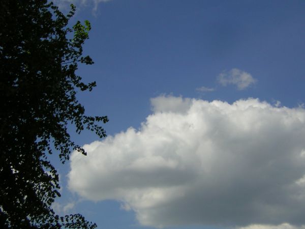 zdjecie Sulechów