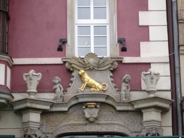 zdjecie Wrocław