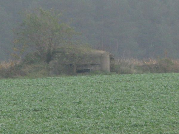Schron nr 17. Armii "Pomorze" z 1939r. Tradytor jednostronny. Z powodu ciężkiego dojścia do schronu, zdjęcie obiektu - tzw. zoomem.