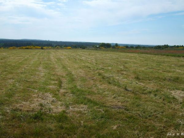 Jastrzębia Góra -Landing Field