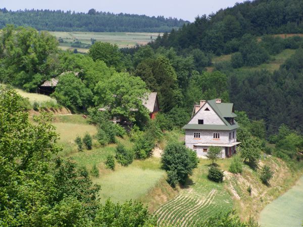 Osiedle Chodników .