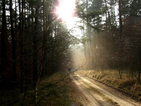 Droga w kierunku jeziora w Okolu