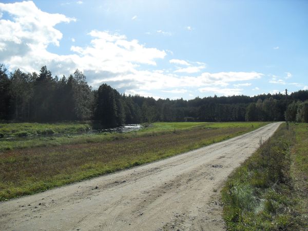 Widok na drogę i rzekę Wdę w Czarnym
