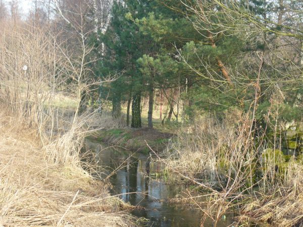 Gdy strumyk płynie z wolna...