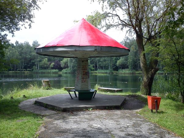 Sosnowiec-Kazimierz Górniczy. Park Leśna.