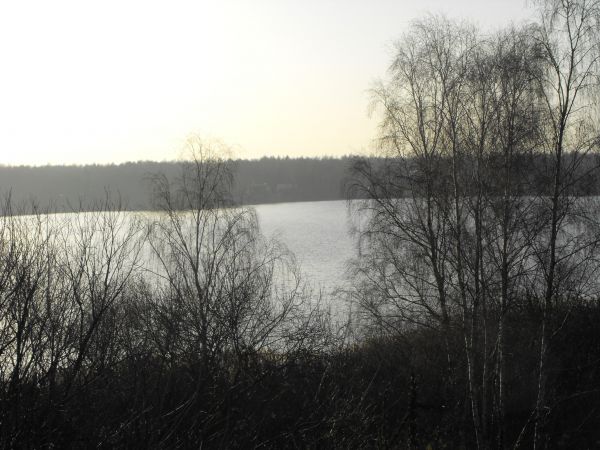 Fragment jeziora Pogoria 1