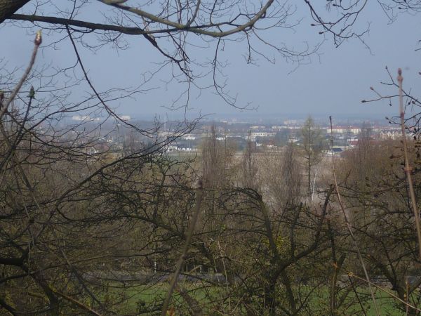 Ze wzgórza gdzie stoi kościół p.w św Krzyża  rozlega się panorama na Ostrów WLKP