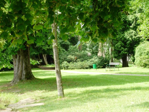 Jedna z najpiękniejszych rezydencji pałacowych w Polsce. Położona 10 km na południe od Przemyśla.  Zamek - pałac powstał w XVI wieku.  Przez kolejne lata rozbud