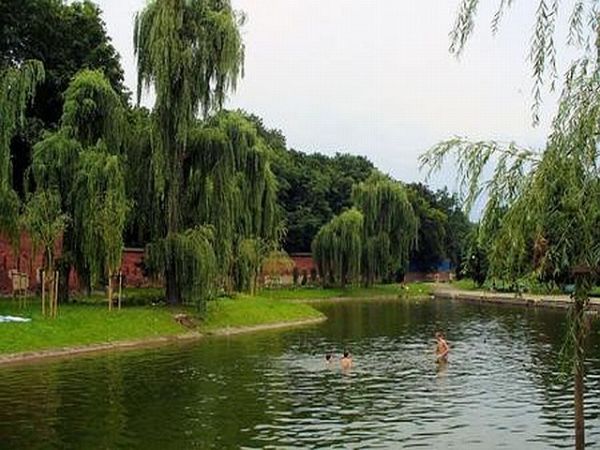 Duża część Żoliborza to tereny zieleni (250 z 830 ha powierzchni), m.in.:  Park Kaskada  Park Kępa Potocka w parku odbywają się seanse w ramach festiwalu filmow