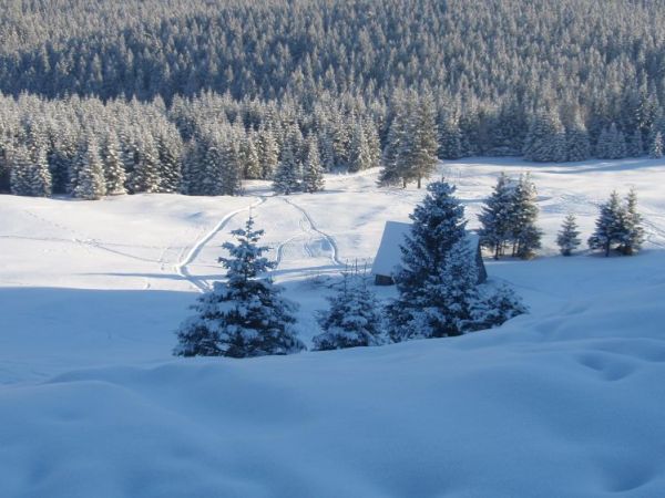 Widok z Kalatówek