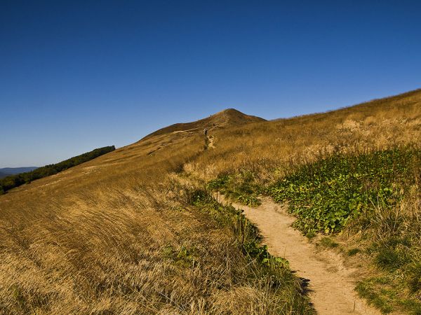 Połonina Caryńska-Ustrzyki Górne