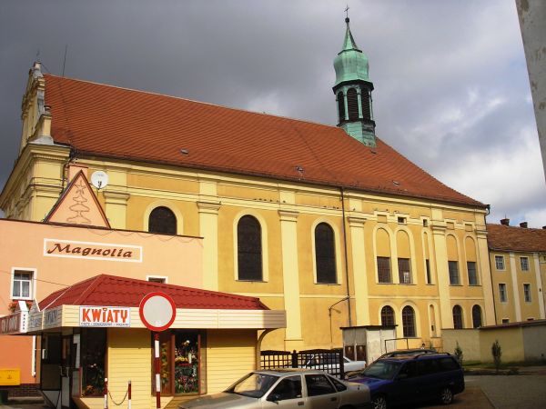 zdjecie Wołów