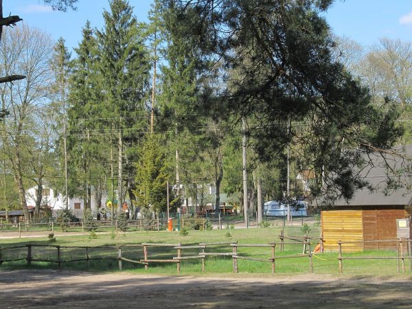 Zaplecze Restauracji Złota Rybka