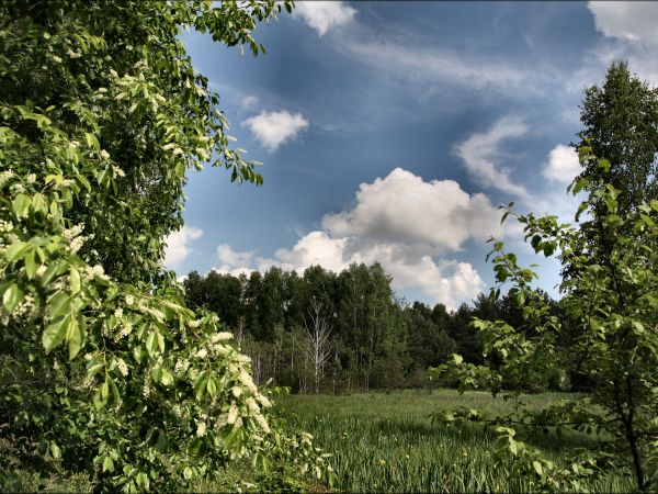 zdjecie Tyniewicze Duże