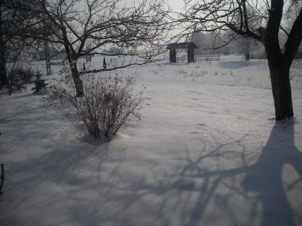 To zdjęcie zrobiłem na mojej posesji ponieważ urzekł mnie widok, który zobaczyłem za oknem rankiem 21 lutego :) ALLE zImA ;)