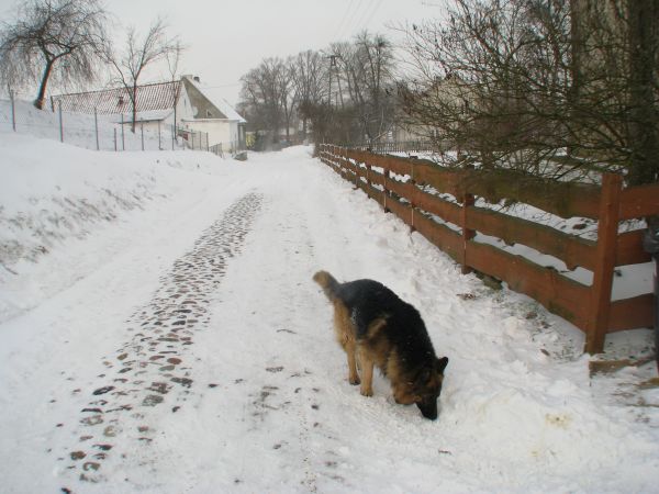 zdjecie Widryny