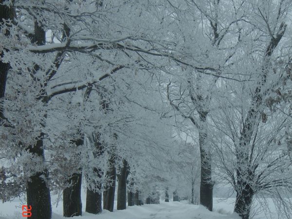 Droga...Strzyżno - Kluczewo