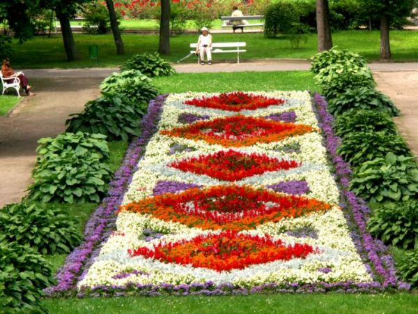 Dywan kwiatowy w parku w Połczynie Zdroju