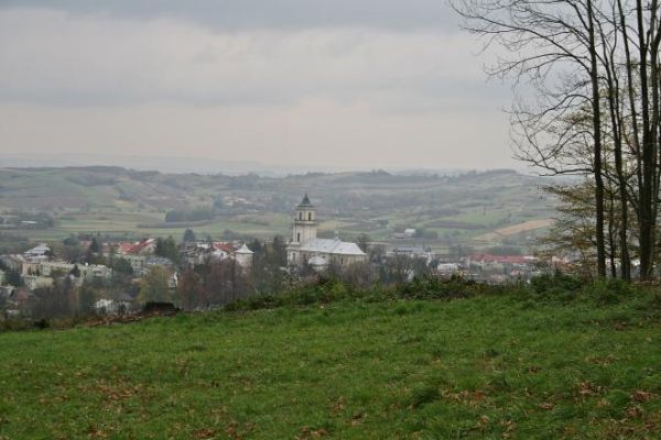 z Góry Kalwarii widok na Rymanów.