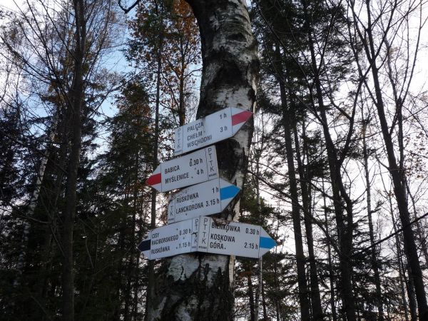 Na Bieńkowskim Dziele