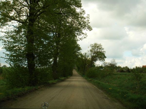 Fragment starej aleji prowadzacej dawniej do dwóch dworów w Smokowie i Grabnie, a obecnie do Majątku Ziemskiego Smokowo.