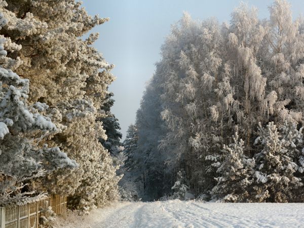 zdjecie Tyniewicze Duże