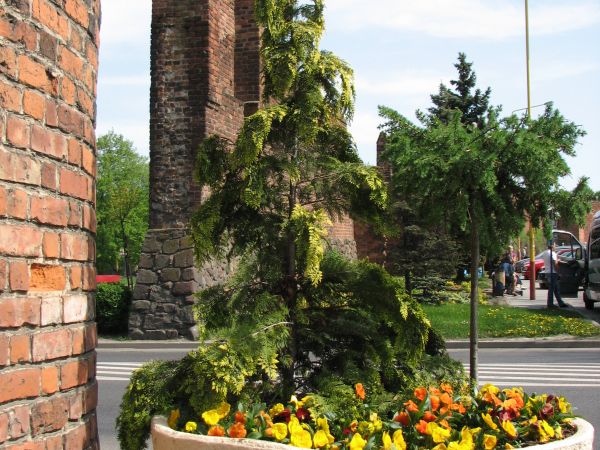 Pyrzyce - mury miejskie