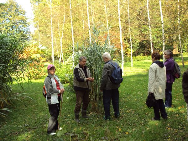 "lato się lekko zajesieniło" - to z piosenki, ale tu - w podworskim parku na  "Chmurówkach" - jakby jeszcze więcej szlachetności, tych polskich złotych barw - n