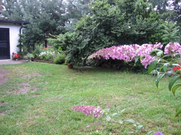 Ziemia w Chwałowicach kiepska ale jak się chce...