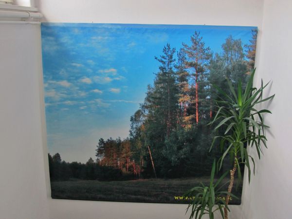 Klatka schodowa w Urzędzie Miejskim, strona: www.czarna-woda.pl