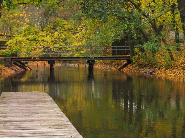 Rzeka Wda w drodze do Wisły