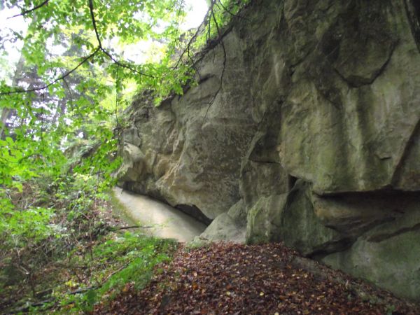 wychodnia skalna, okaz przyrody nieożywionej - tu pomnik przyrody : "Ściana skalna pod Kostryniem", tu był eksploatowany kamieniołom i czytelne są tego ślady, p
