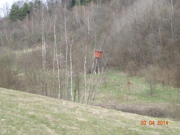 ambona myśliwska, my jednak wierzymy że to czatownia -  punkt służący do podglądania zwierzyny do np. foto-safari. Ta jednak jest w pobliżu poletka ogryzowego,