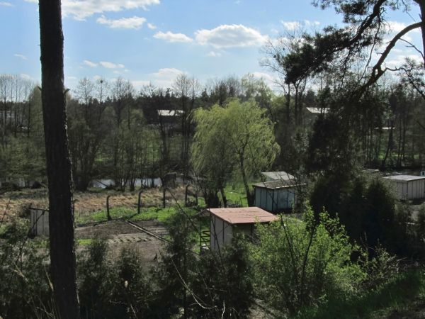 Wiosna na działkach nad Wdą