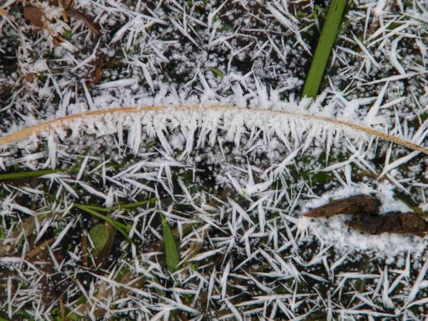 malowanka zimowa namalowana przez mróz