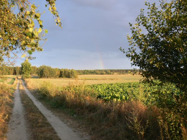 Okolice Mąkowarska. Droga na Kadzionkę.W oddali obszar leśny, Leśnictwa Krówka.